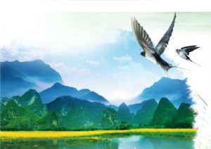 聚焦高考&mdash;&mdash;綠水青山，我們押中了！