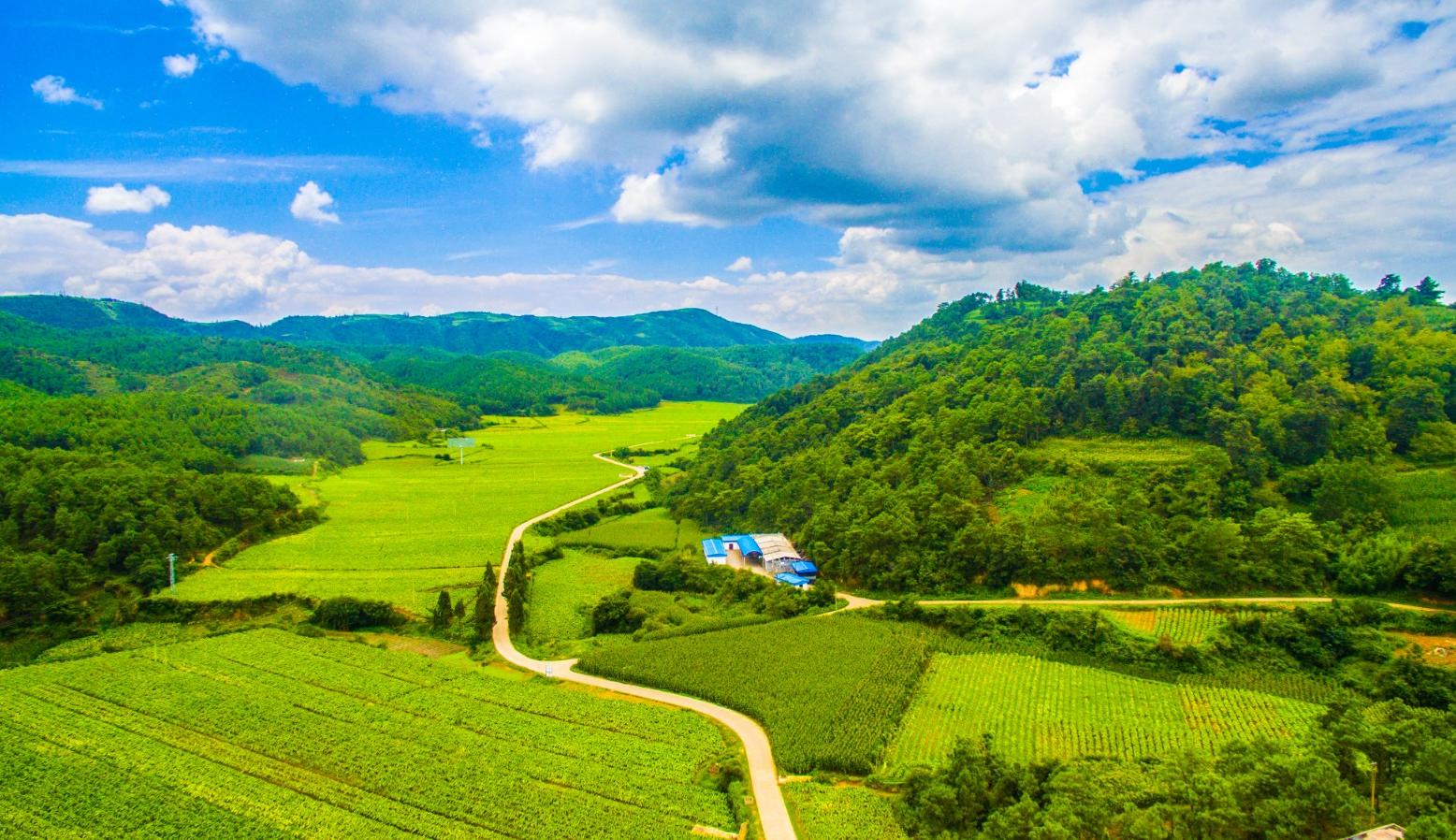 &ldquo;十四五&rdquo;林草規(guī)劃圖解