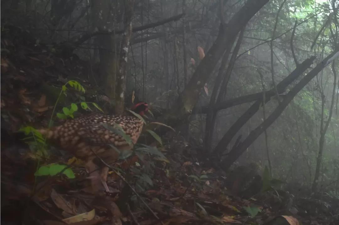 1a7d47e578b91594d71ff0b21861079b.jpg 001.jpg