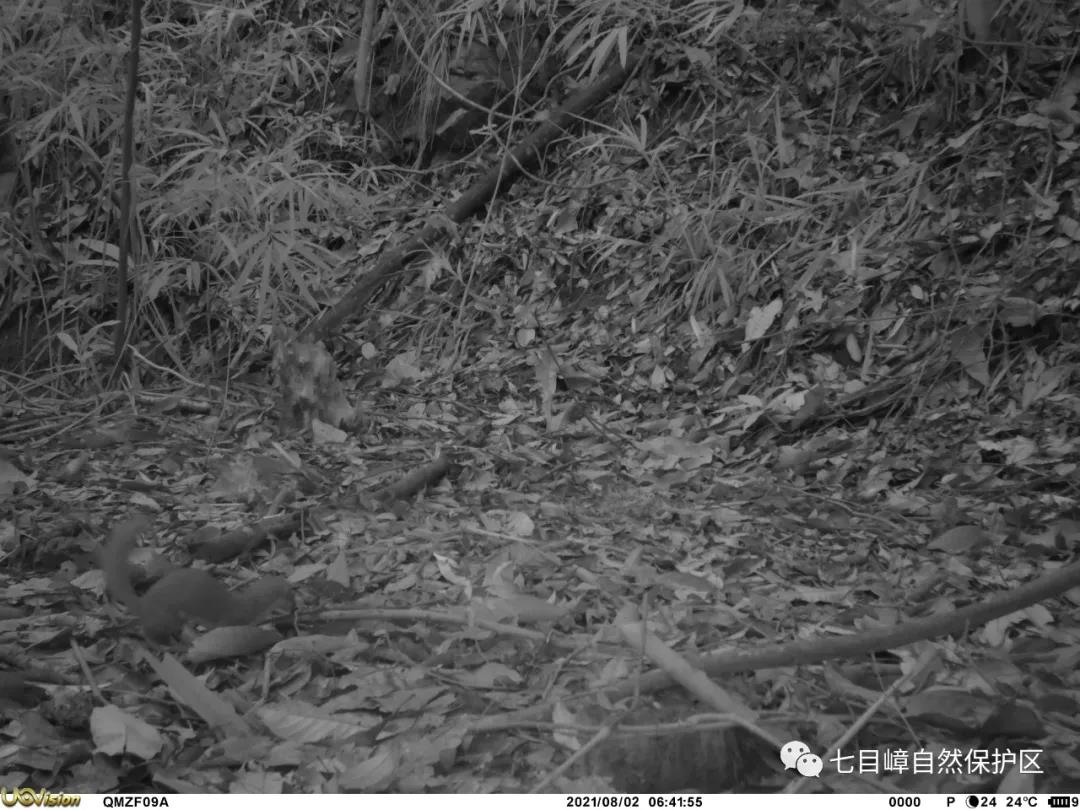 65d264cb294474e82dff17c15a1380c3.jpg 017.jpg