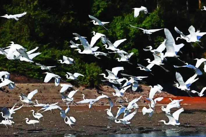 752b59d6ba5f4427ffa4837654db0fbc.jpg 006.jpg