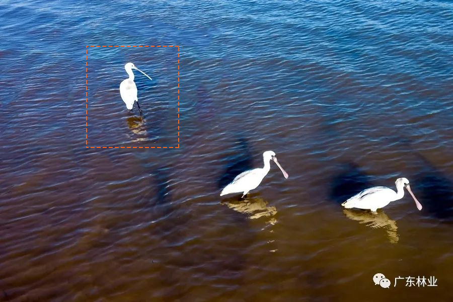 29c4dae1a0ea280ec5d6a37e0a9561b1.jpg 02.jpg