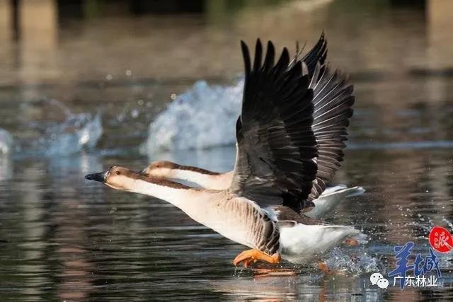 4bc107a0e71c339de52a3e3e7823419e.jpg 004.jpg