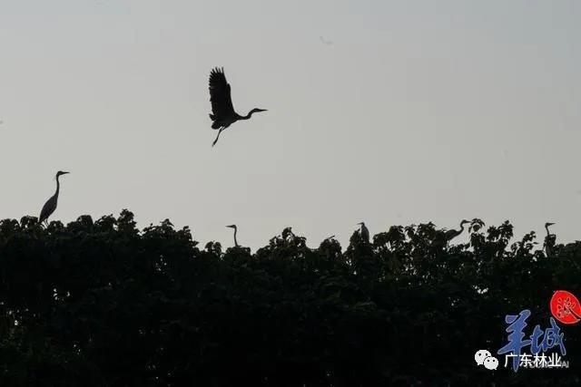 9fb0eb787823368eb794680c6ecabdac.jpg 003.jpg