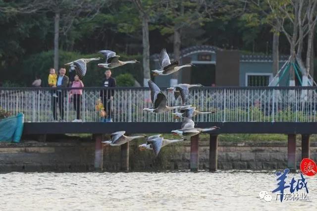 c598e9c2dd0c3ddf17ccff484ce02432.jpg 006.jpg