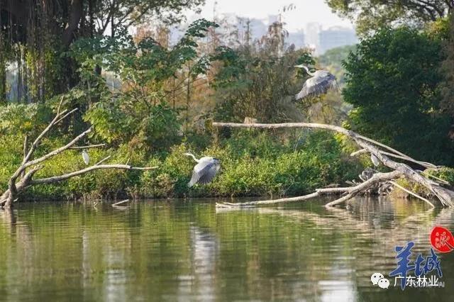 e435a40ce10f443a4ade6fd1b363c070.jpg 005.jpg