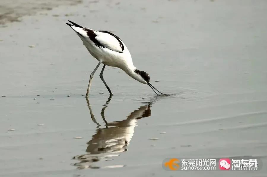 2700363ca2e308c98c55d96d7924df11.jpg 007.jpg