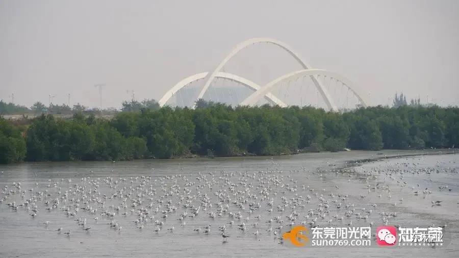 8edad8707951cdb6440c079a37e22bc0.jpg 001.jpg