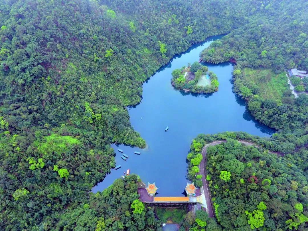 126b0c55108aea1fd6dff33ef2cc7164.jpg 004.jpg