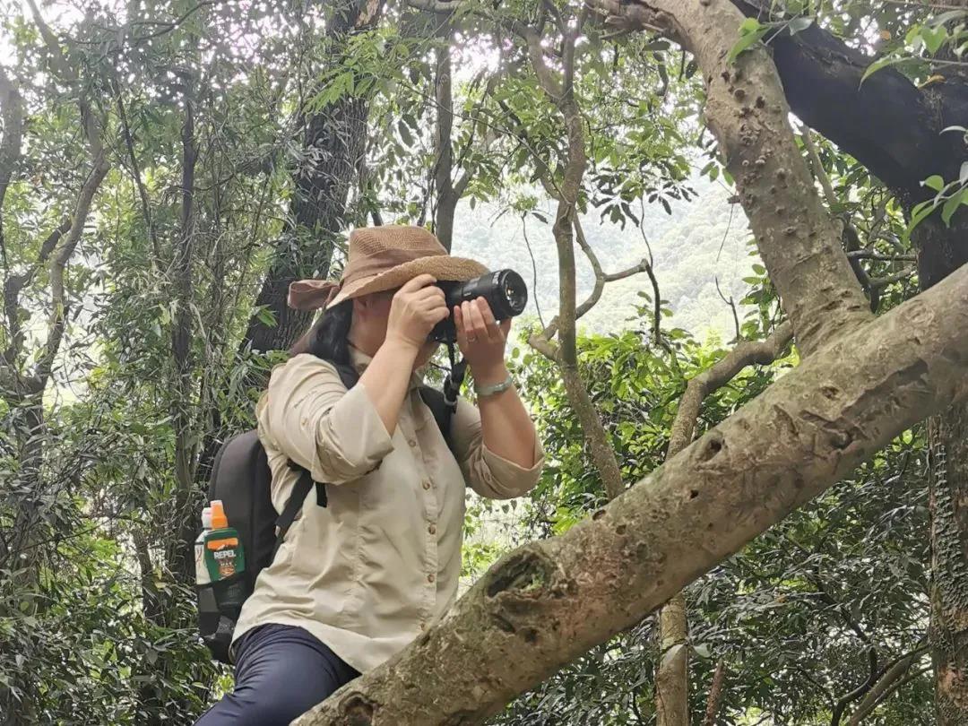 a5c891c08f2d51ad8511514ef6412f07.jpg 002.jpg