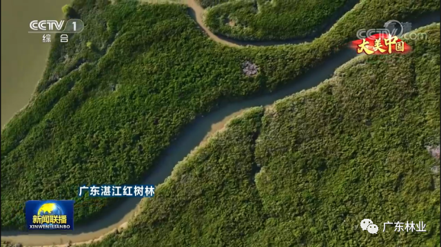 4a023231f207817ab7e7706de6ab1c4a.png 004.png