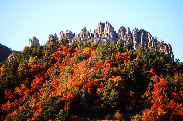 d404045b12721b7b58c3c902b0e07b53.png 003.png