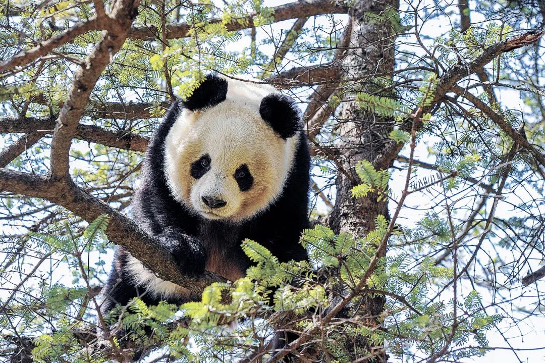 7f5bc077c4feb313d1c5405eb2314ab8.jpg 004.jpg