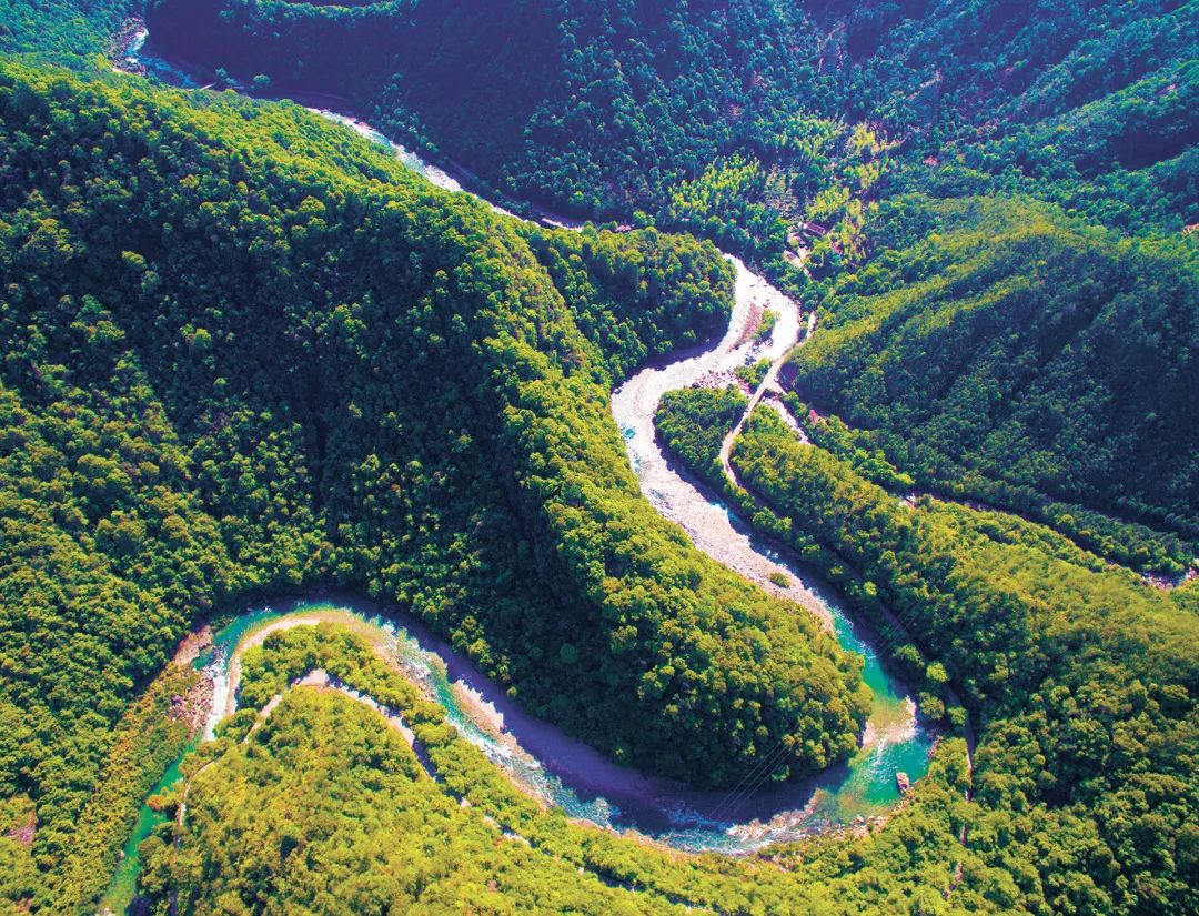 933d3bbaa9296ba2eb46ba1b5f147033.jpg 005.jpg